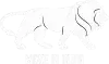 make-in-india